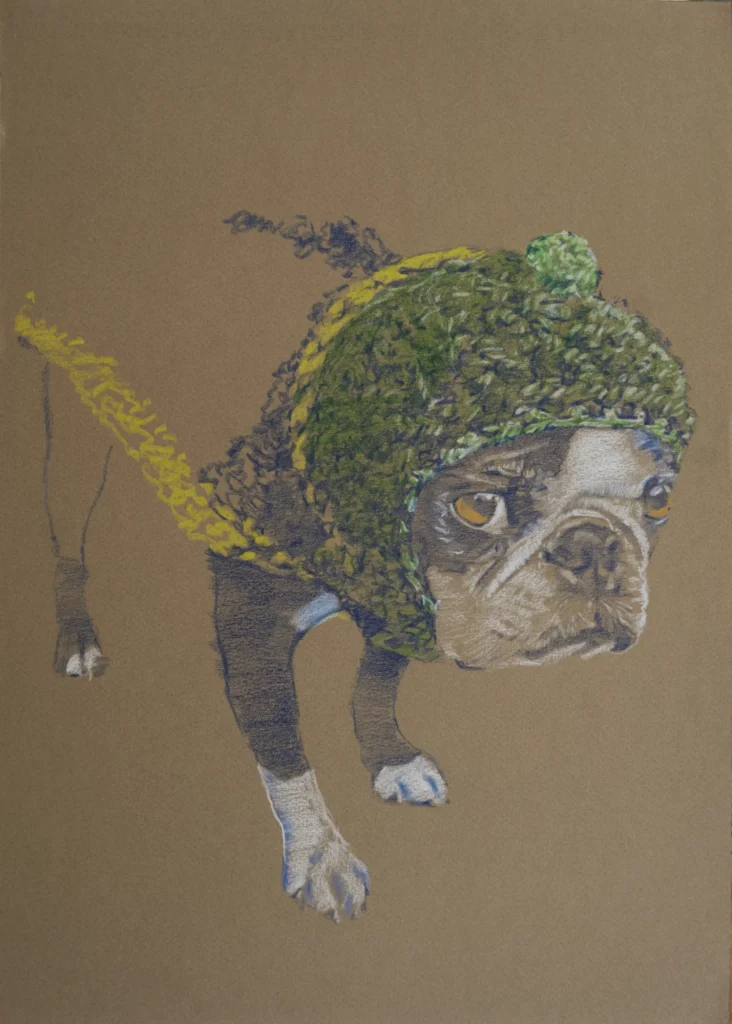 Dog wearing a green beanie Boston Terrier wool hat