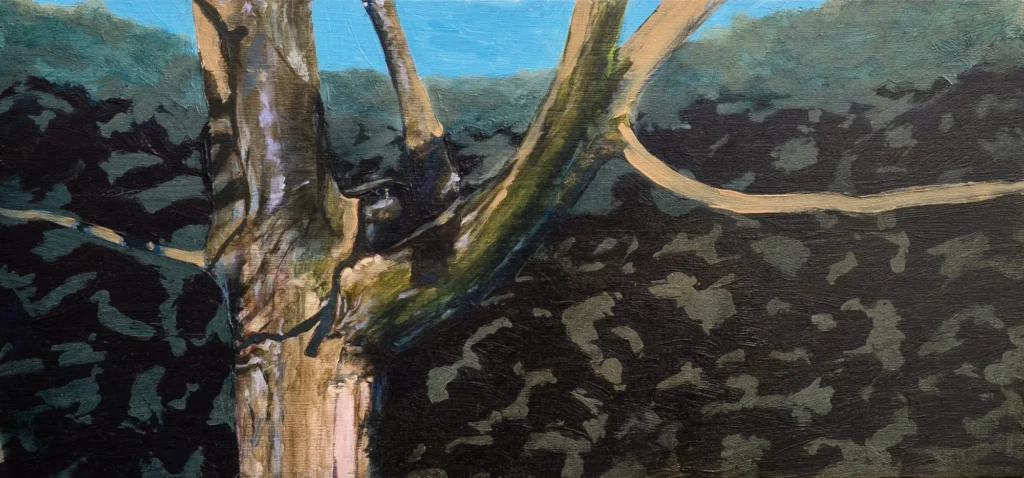 Tree closeup against pattern of light and shade in background.